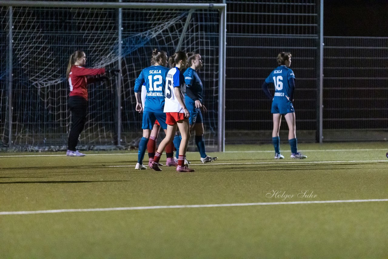 Bild 446 - F SC Alstertal-Langenhorn - Hamburger SV 3 : Ergebnis: 2:2